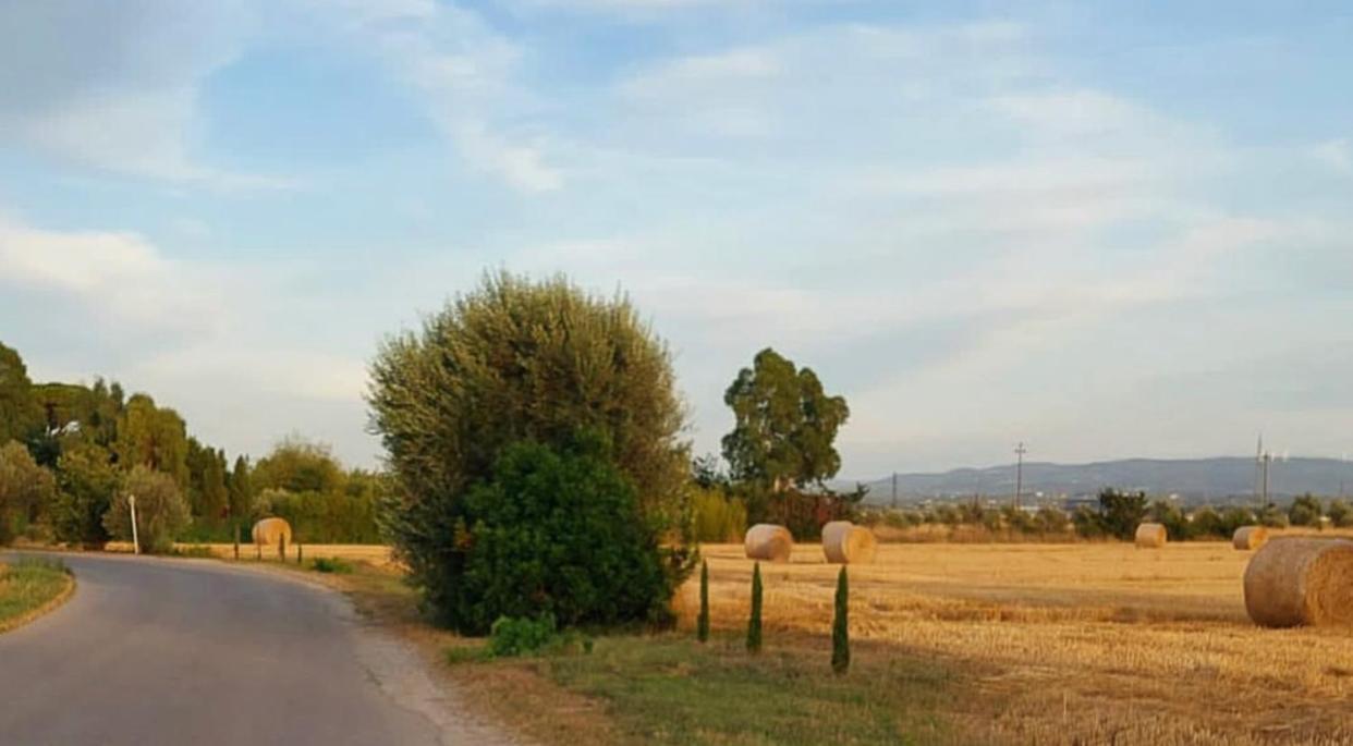 Il Cantuccio Cascina Exterior foto