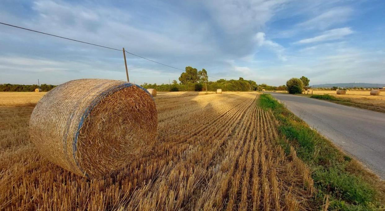 Il Cantuccio Cascina Exterior foto